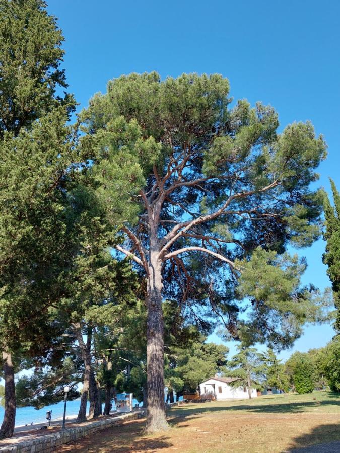 Apartmani Prodan 2 Fažana エクステリア 写真